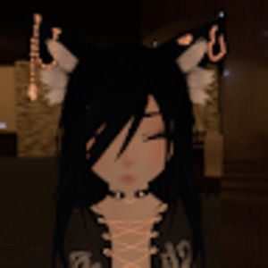 Meet your Posher, Saka